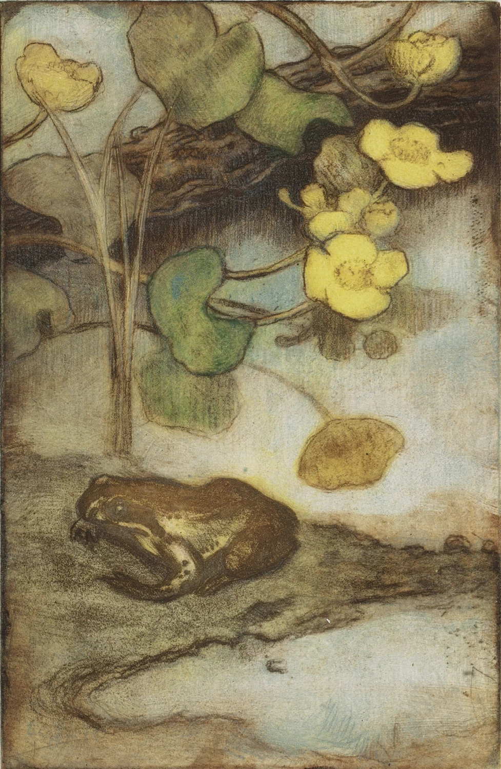 Eero Järnefelt - Calendula palustre e rana, Ateneum, Kluuvi, Helsinki